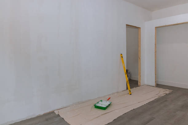 Reliable Baird, TX Mold Removal Solutions
